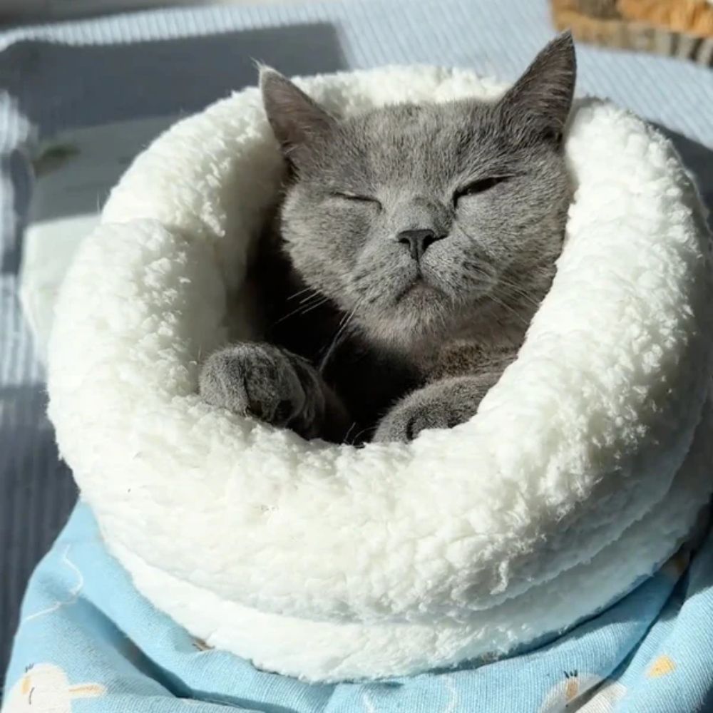 💖 Sac Apaisant pour Chat – Effet Cocooning 🐾