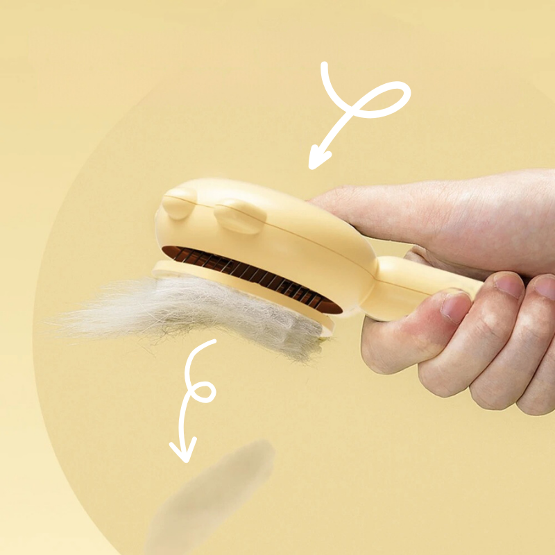 🪄 Brosse Magique 🐾