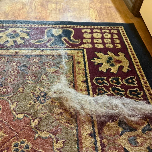 Brosse de poils d’animaux