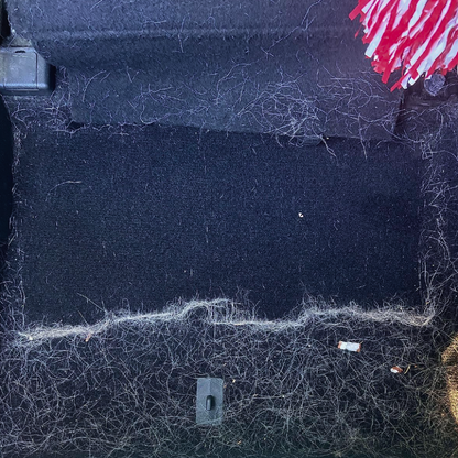 🧹 Brosse Anti-Poils pour Animaux