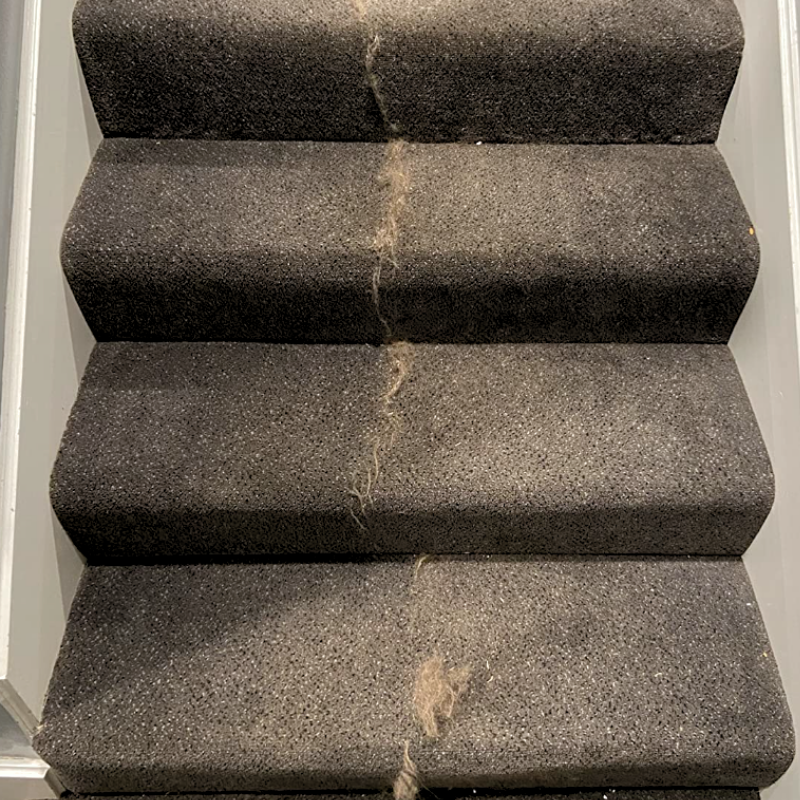 🧹 Brosse Anti-Poils pour Animaux